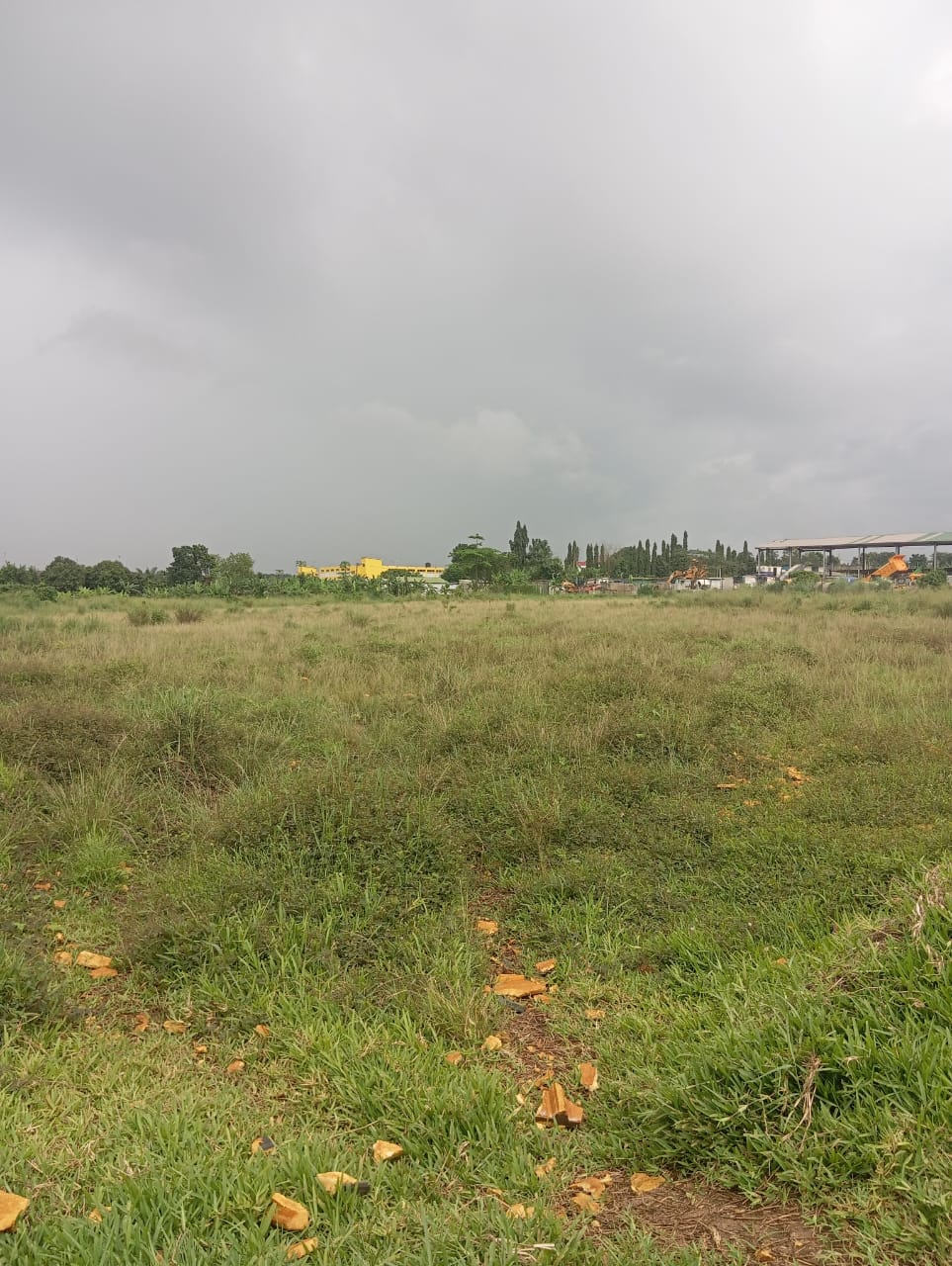 Site : Songon kassamblé